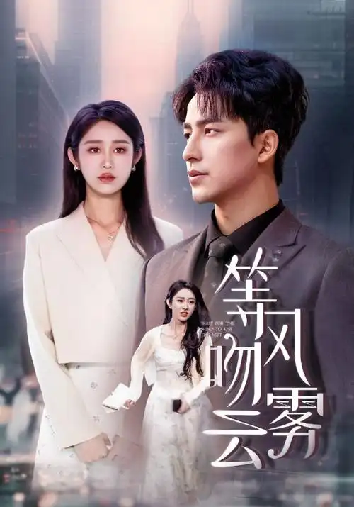 电视剧《眼泪女王》海报